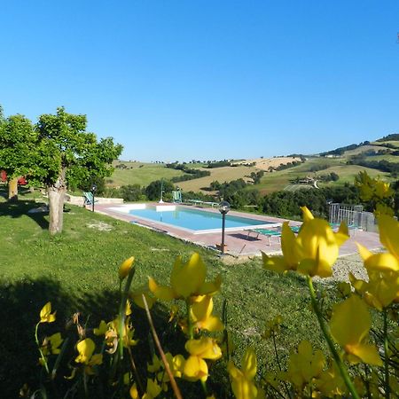 Agriturismo Dai Mori Isola del Piano 외부 사진