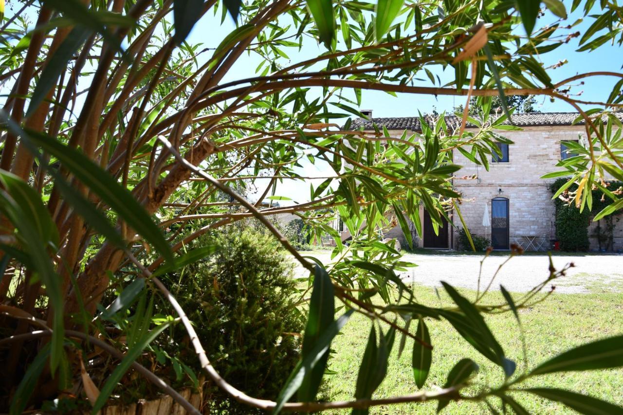 Agriturismo Dai Mori Isola del Piano 외부 사진