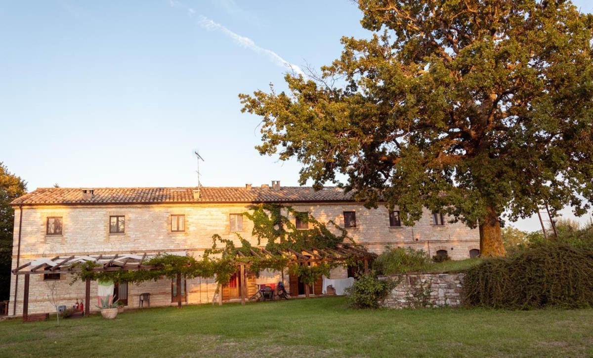 Agriturismo Dai Mori Isola del Piano 외부 사진